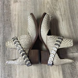 Freebird by Steven Bootie